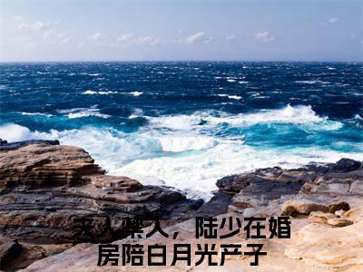 乔茵陆一函（夫人禁入，陆少在婚房陪白月光产子）全文免费阅读无弹窗大结局_乔茵陆一函免费阅读无弹窗