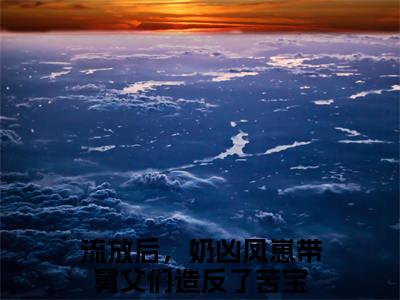 流放后，奶凶凤崽带舅父们造反了苦宝（流放后，奶凶凤崽带舅父们造反了苦宝）小说全本完结版免费阅读