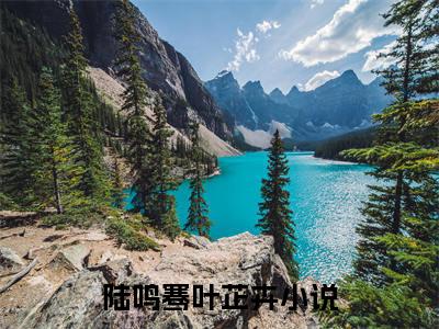 抖音热推陆鸣骞叶芷卉无弹窗阅读陆鸣骞叶芷卉小说免费阅读无弹窗
