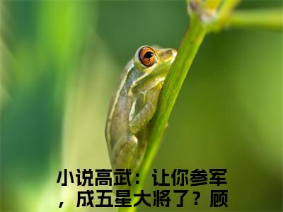 高武：让你参军，成五星大将了？顾明满分小说全章节_高武：让你参军，成五星大将了？顾明下拉式阅读_笔趣阁