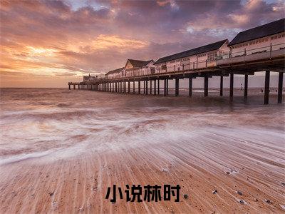 极寒末世：我用聚宝盆囤亿万物资全文免费完整版-小说极寒末世：我用聚宝盆囤亿万物资（林时）已完结全集大结局