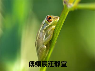 傅翊宸汪静宜已完结小说《傅翊宸汪静宜》在线全文阅读