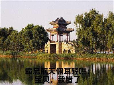 林可黎赵沐凌小说霸总前夫俯耳轻哄：宝贝，我错了在哪里可以看-主角是林可黎赵沐凌的小说霸总前夫俯耳轻哄：宝贝，我错了