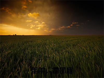 （绮绮）羔羊，霍邵庭无弹窗免费阅读绮绮大结局无删阅读_笔趣阁