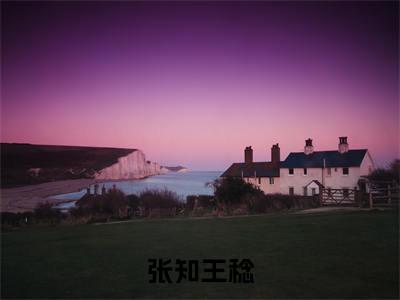 穿成农家福宝，我靠医术名动天下大结局全文免费阅读最新章节_张知王稔大结局