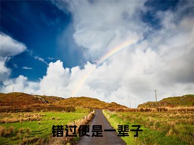 错过便是一辈子（段黎沈啸铭）老书虫推荐小说热文-错过便是一辈子最新更新免费阅读