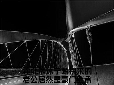 拼来的老公居然是豪门继承人（霍北辰沐宁曦）全文免费阅读无弹窗大结局_拼来的老公居然是豪门继承人小说精彩免费试读