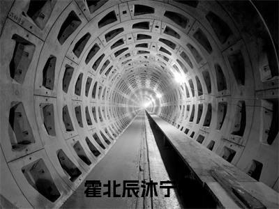 霍北辰沐宁曦（拼来的老公居然是豪门继承人）全文免费阅读大结局_霍北辰沐宁曦（拼来的老公居然是豪门继承人）免费在线阅读_笔趣阁