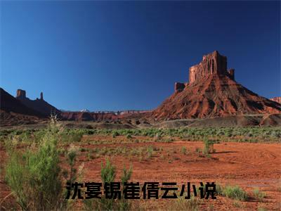 沈宴锡崔倩云（沈宴锡崔倩云）全文免费阅读无弹窗_沈宴锡崔倩云全文免费阅读最新章节大结局_笔趣阁