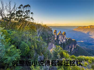 私藏读物《傅若馨汪铭钦》小说全文免费阅读-微小说（傅若馨汪铭钦）完整版阅读
