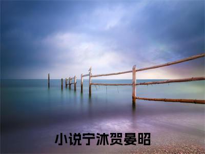 宁沐贺晏昭小说全文阅读-（宁沐贺晏昭）小说全文免费阅读无弹窗大结局