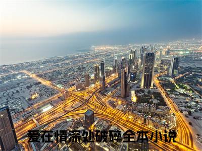 爱在情深处破碎（傅司年叶依纯小说）全文免费阅读无弹窗大结局_傅司年叶依纯小说最新章节列表