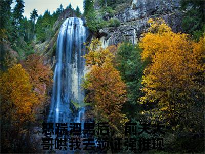 怒踹渣男后，前夫大哥哄我去领证小说完整版阅读-（苏千语韩世舟）小说全文免费阅读
