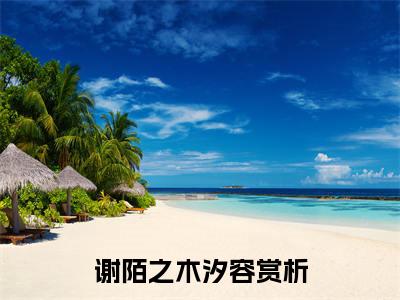 （谢陌之木汐容）绝色医妃只想着摆烂全文免费阅读无弹窗大结局_绝色医妃只想着摆烂全文免费完结版阅读（谢陌之木汐容）