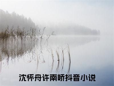 沈怀舟许南峤小说(沈怀舟许南峤）小说全文免费沈怀舟许南峤读无弹窗大结局