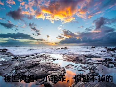 墨寒霆盛夏（被迫闪婚！小乖乖，你逃不掉的）全文免费阅读_（被迫闪婚！小乖乖，你逃不掉的）最新章节列表笔趣阁（被迫闪婚！小乖乖，你逃不掉的）