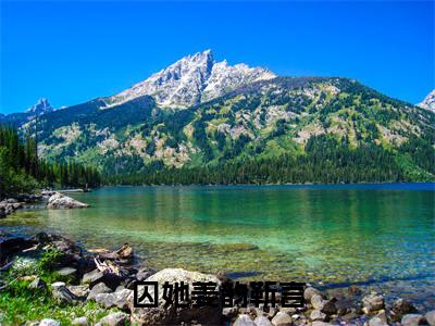 囚她姜韵靳言全文免费阅读无弹窗大结局_姜韵靳言小说免费阅读
