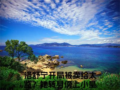 开局被卖给太监？她转身傍上小皇帝全文免费阅读-（洛舒宁）小说全文免费阅读正版无弹窗