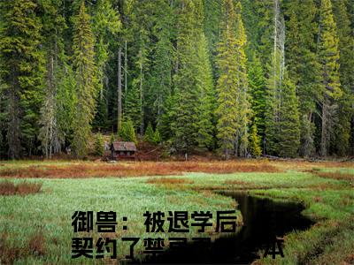 陆霖（御兽：被退学后，我契约了禁忌灵兽）全文免费阅读无弹窗-（陆霖）御兽：被退学后，我契约了禁忌灵兽小说全文在线赏析