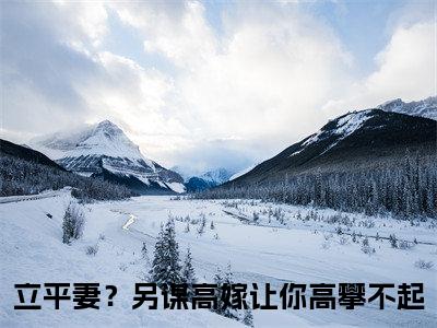 立平妻？另谋高嫁让你高攀不起（赵如云陆景钰）全文免费阅读大结局_赵如云陆景钰免费在线阅读无删减