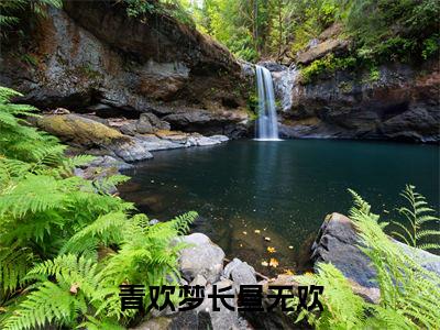 梦长昼无欢青欢完整全文在线阅读梦长昼无欢全文大结局阅读无弹窗