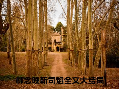 新书热荐林念晚靳司焰全文免费阅读无弹窗大结局-小说林念晚靳司焰全文完整版免费阅读