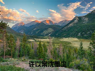 许以棠沈墨尘小说小说全集免费阅读 许以棠沈墨尘章节目录