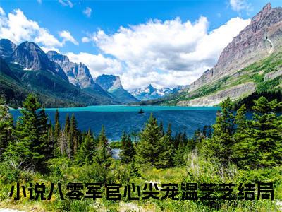 八零军官心尖宠温芝芝小说（八零军官心尖宠温芝芝）全文免费阅读无弹窗大结局_八零军官心尖宠温芝芝最新章节列表_笔趣阁