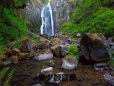 （夏夕颜欧爵小说）全文免费阅读无弹窗大结局_（夏夕颜欧爵阅读无弹窗）夏夕颜欧爵小说章节列表