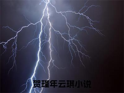 《贺瑾年云琪》全文免费阅读最新章节大结局-贺瑾年云琪无弹窗阅读