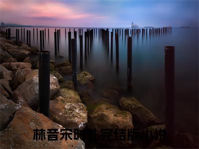 林音宋时礼今日阅读更新 林音宋时礼推荐免费新书