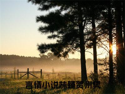 【新书】林臻贺州隽全文全章节免费阅读-林臻贺州隽小说免费阅读无弹窗最新章节列表