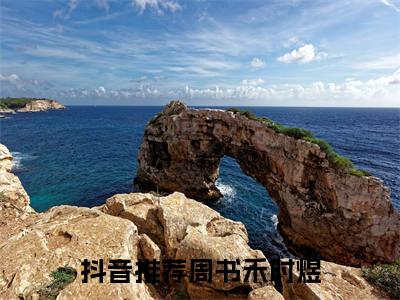 周书禾时煜无弹窗免费阅读 周书禾时煜大结局无删阅读_笔趣阁