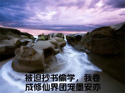 被迫抄书偷学，我卷成修仙界团宠墨安亦小说（被迫抄书偷学，我卷成修仙界团宠墨安亦）全文免费阅读结局-被迫抄书偷学，我卷成修仙界团宠墨安亦强推全文阅读无弹窗