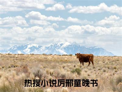 小说厉总玩的野，新婚小妻遭不住在线阅读-正版小说《厉邢童晚书》厉总玩的野，新婚小妻遭不住全文阅读