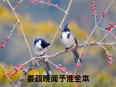 姜疏晚闻予淮（姜疏晚闻予淮全文免费阅读）小说最新章节_姜疏晚闻予淮全文免费阅读最新章节列表