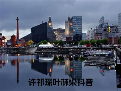 许祁琛叶林染全文免费阅读无弹窗大结局_(许祁琛叶林染免费阅读)许祁琛叶林染最新章节列表_笔趣阁