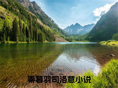 秦暮羽司洛意免费阅读大结局无弹窗-小说推荐秦暮羽司洛意精彩章节在线阅读