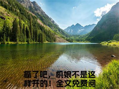 疯了吧，机娘不是这样开的！（江浩陈雪莹）全文免费阅读无弹窗大结局_江浩陈雪莹小说在线阅读无删减