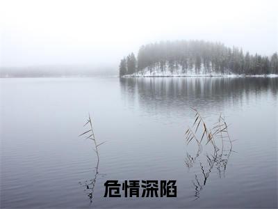 危情深陷（夏浅陆津城）小说全文免费阅读无弹窗-危情深陷小说全文免费阅读大结局笔趣阁