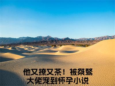 谢京墨虞之琬全文（他又撩又茶！被桀骜大佬宠到怀孕）全文免费阅读无弹窗大结局_谢京墨虞之琬全文最新章节列表_笔趣阁（他又撩又茶！被桀骜大佬宠到怀孕）