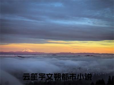 佛子待尘开，只撩心上人 藏娇阁（云笙宇文朔）小说全文免费阅读无弹窗大结局_云笙宇文朔全文免费阅读