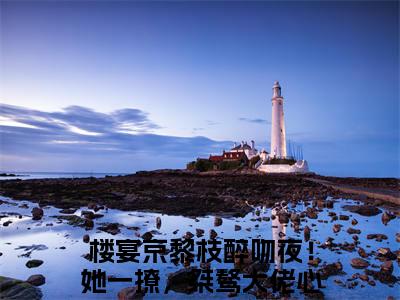 醉吻夜！她一撩，桀骜大佬心狂跳小说（楼宴京黎枝）全文免费阅读无弹窗大结局_醉吻夜！她一撩，桀骜大佬心狂跳全文免费完结版阅读（楼宴京黎枝）