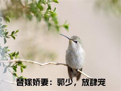 替嫁娇妻：郭少，放肆宠（郭子谦潘悦悦）全文免费阅读无弹窗大结局_（替嫁娇妻：郭少，放肆宠免费阅读）郭子谦潘悦悦无弹窗最新章节列表