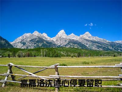 停妻留职小说全文免费阅读_（高嘉洛沈沐心）停妻留职完结版在线阅读最新章节列表笔趣阁