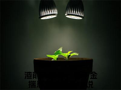 裴西洲南知意（渣前夫再见，假千金揣崽嫁你哥了）最火婚恋小说-（渣前夫再见，假千金揣崽嫁你哥了）全文免费阅读笔趣阁