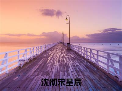 手握百科全书，我在荒年种田暴富（沈彻宋星辰）全文免费阅读无弹窗大结局_手握百科全书，我在荒年种田暴富全文免费阅读最新章节列表