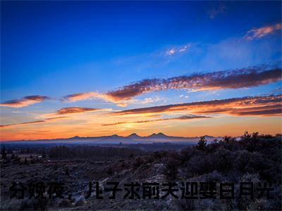 姜瑜（分娩夜，儿子求前夫迎娶白月光）全文免费阅读无弹窗大结局_分娩夜，儿子求前夫迎娶白月光最新章节列表