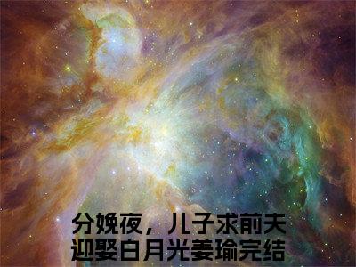 分娩夜，儿子求前夫迎娶白月光（姜瑜）小说全文免费_分娩夜，儿子求前夫迎娶白月光小说（姜瑜）最新章节目录笔趣阁