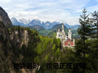 白楚楚沈墨瑾（她跳海时，沈总正在结婚）全文完整版免费阅读-主角叫她跳海时，沈总正在结婚的小说白楚楚沈墨瑾